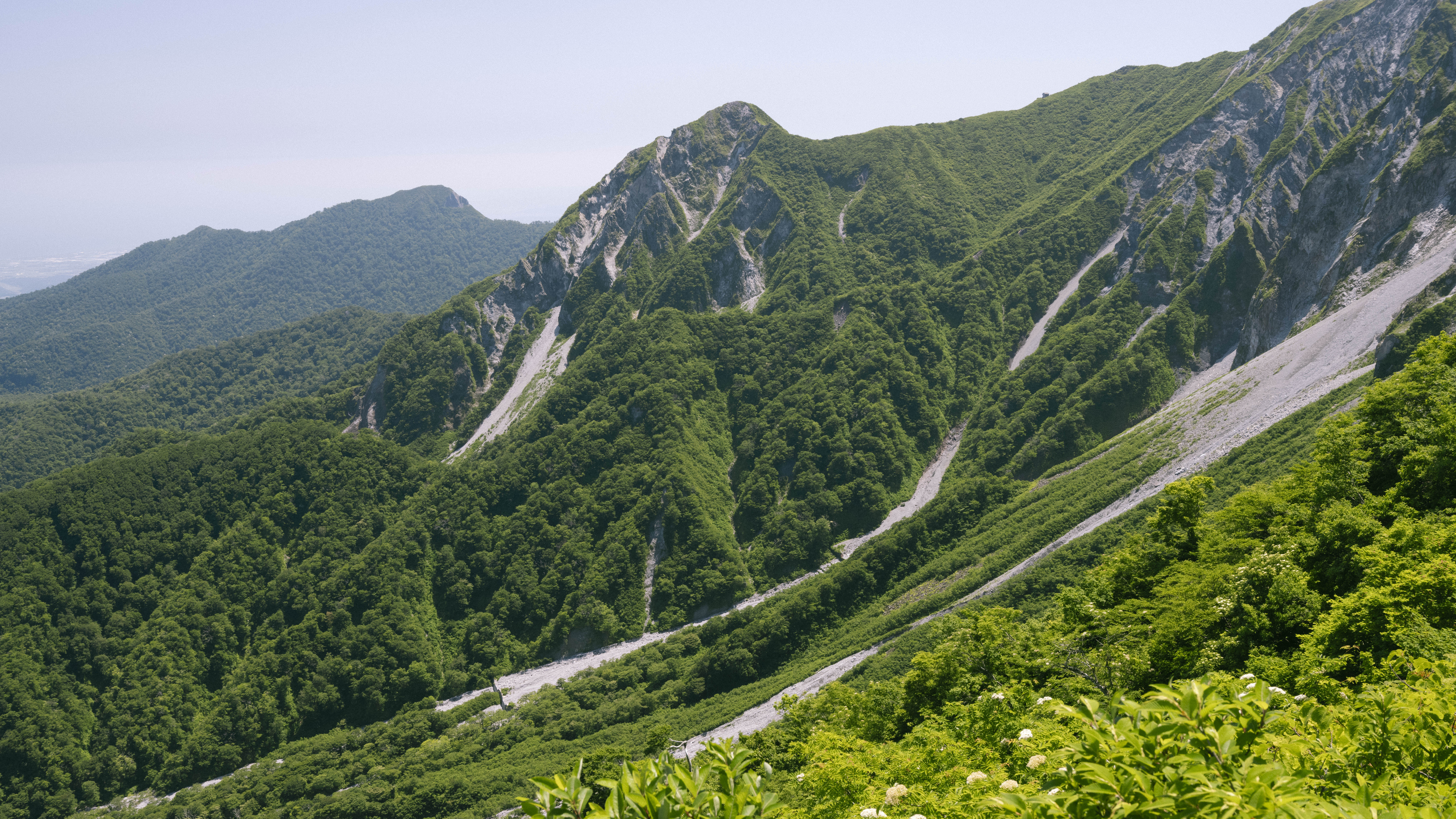 山林散骨の特徴
